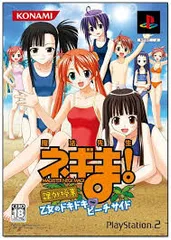 PS2-魔法先生ネギま!課外授業 乙女のドキドキ ビーチサイド