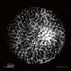 FKD / Initial Impulse [CD]