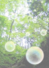 メルshops ❤️スピード発送❤️なおの卸売Shop - メルカリShops