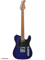 ステンレスジャンボフレットに打替済 FERNANDES FR 希少なメイプル指板 ステンレスジャンボフレットに打替済 FERNANDES FR 希少な