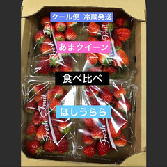 いちご イチゴ 苺 あまクイーン ほしうらら 食べ比べ クール便 冷蔵発送