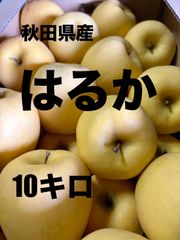 秋田県産りんご　はるか　家庭用　約10キロ