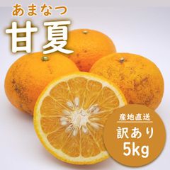 【季節限定】甘夏 訳あり 5kg 送料無料 みかん 蜜柑 ご家庭用 箱買い B品 サイズミックス あなまつ ミカン 柑橘 フルーツ 果物 産地直送 愛媛県産