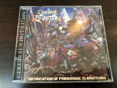 GROTESQUE DESECRATION 2枚セット | Mercari