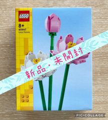 レゴ(LEGO) ボタニカル 40647 ハスの花