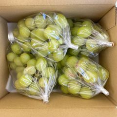 ゲリラセール！！超家庭用小粒シャイン1.5キロ