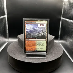 2023年最新】樹木茂る山麓 mtgの人気アイテム - メルカリ