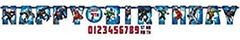 Amazing Justice League Birthday Party Jumbo Add-an-age Letter Banner