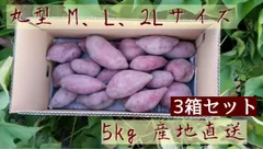 なると金時　丸型　M,L,２Lサイズ　１５㎏（５㎏×３）