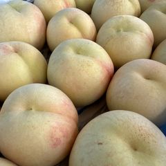 ももちゃん果樹園の桃　幻の桃　CX 3キロ箱に4キロ！！　ワケあり