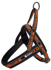 Item thumbnail for item 6651b806-f1a2-4c1c-a5bf-3caa34b0781c