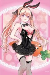 [중고] 태피스트리 1. 아마노 에리카 신작 B2 태피스트리 [뻐꾸기의 신부]