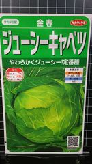 ジューシー キャベツ 金春 ３袋セット