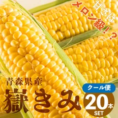 【中古】 新漫才（コント）集 津軽弁ｖｓ南部弁/北の街社/津南弁策 新漫才(コント)集 2―津軽弁vs南部弁』｜感想・レビュー - 読書
