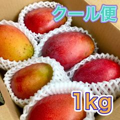 沖縄 豊見城産 【訳あり】アップルマンゴー1kg