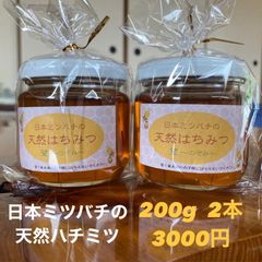 日本蜜蜂のハチミツ 200g×2本 百花蜜 2023.6.22採蜜 鹿児島県産 - メルカリ