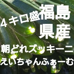 福島県産!朝どれズッキーニ!４キロ盛