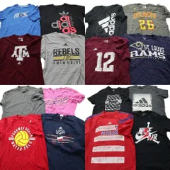 古着卸 まとめ売り スポーツブランドMIX 半袖Tシャツ 16枚セット (メンズ L ) アディダス リーボック プロチーム 中古 古着 NA1027