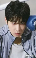 【中古】コレクションカード(男性) SEVENTEEN/WONWOO(ウォヌ)/CD「FML」HMV・Loppi特典スペシャルフォトカード