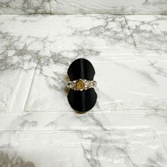 TADY&KING 希少初期作品K18ウルフメタル付きキャストリング/9号/タディ