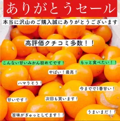 みんなありがとうセール！減農薬 有田 2キロ 小粒 - 柑橘研究所 - メルカリ