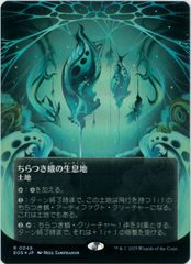 MTG 量子の謎かけ屋 ボーダーレス版 2枚 久遠の終端 EOE MTG EOE 量子の謎かけ屋 ボーダーレス foil 英語版 久遠の終端