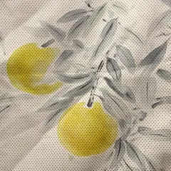 本場大島紬　着物　手描き友禅　作家物　果物　白大島【231448】