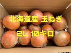 熊本県より産地直送 JAあしきた サラたまちゃん LAサイズ 約10