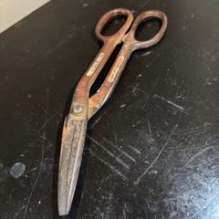 Item thumbnail for item 67a08744-9bef-4e31-bbd9-b198cac625e1