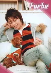 【中古】生写真(男性) T.M.Revolution/西川貴教/膝上・足組み・衣装グレーファー付き・インナーボーダー赤黒・犬・枠ピンク/turbo/公式ブロマイド