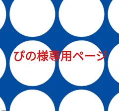 ぴの様専用ページです。