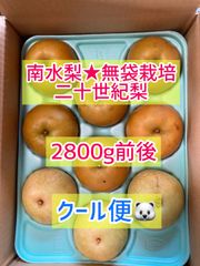 クール便‼️訳あり無袋栽培南水&二十世紀梨2800g前後