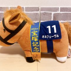 第21回中山グランドジャンプ オジュウチョウサン アイドルホース