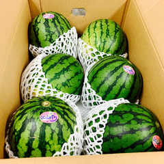 熊本県産 小玉すいか 6玉 箱込み 約6Kg Mサイズ以上 特A優品  (001)小玉西瓜  熊本県産 果物 フルーツ ギフト プレゼント用   【バイヤー推奨商品】