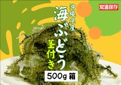 沖縄県産 海ぶどう B品 茎付き 500g タレ付 送料込