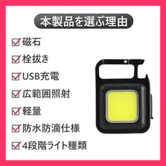 ★売れ筋★ 【2個セット】懐中電灯 LEDライト LED投光器 高輝度 800ルーメン 500mAH COB ライト 小型 ミニ ライト 作業灯 LED投光ライト キーホルダー 防災