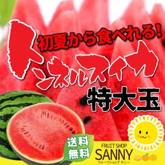 スイカ 大玉 8～10kg以上1玉 愛媛甘玉スイカ 平均糖度12度！ 愛媛名物トンネル栽培スイカ ※沖縄・離島・北海道は発送不可