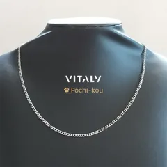 日本未入荷 送関込み ★Vitaly★ Trespass ネックレス 楽天市場】VITALY / Transit Necklace : VENTURER