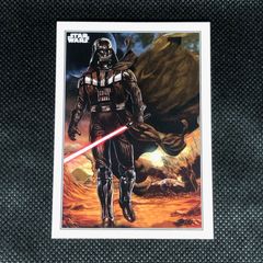 ダースベイダー（STARWARS）/ DARTH VADER : GREY/SMALL / Mサイズ 26cm / PAPSW_0017 |  ポップアートパネル・フレーム公式通販サイト 商品数1000点超え!!