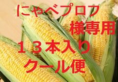 １箱・１３本・クール便・にゃべプロフ様専用・ゴールドラッシュ
