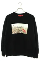 希少Lサイズ　supreme aerial crewneck ナチュラルsup