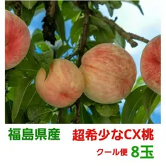 2024年最新】果物 桃 シーエックスの人気アイテム - メルカリ
