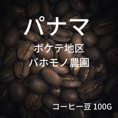 【パナマ ボケテ地区 バホモノ農園】コーヒー豆 100g ミディアムロースト