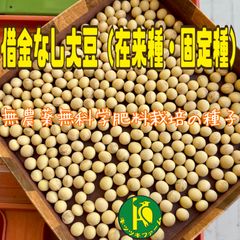 借金なし大豆（固定種）のタネ　40粒　無農薬無化学肥料栽培・完全天日乾燥のタネ