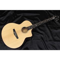 【猫がいます】新品 Natasha(ナターシャ) / CAT アコースティックギター