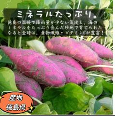 3セット限定❣️100円引きクーポン配布中❣️本日限定❣️激安❣️ 徳島県産 さつまいも なると金時 梱包込み5kg  サイズM 北海道沖縄　秋田県より上の方は300円の追加料金が必要❣️