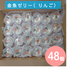 涼しげな見た目に癒される♪★超大容量★あわしま堂★金魚ゼリー（りんご）48Ｐ