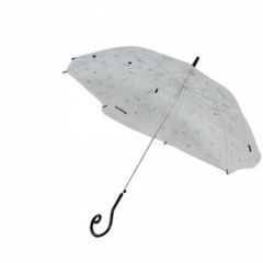 Item thumbnail for item 1823d256-7486-4394-9e30-64402e071290