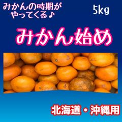 みかん始め　5kg 北海道・沖縄用