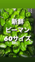 訳あり！朝採れ☀︎新鮮パリパリピーマン　60サイズ